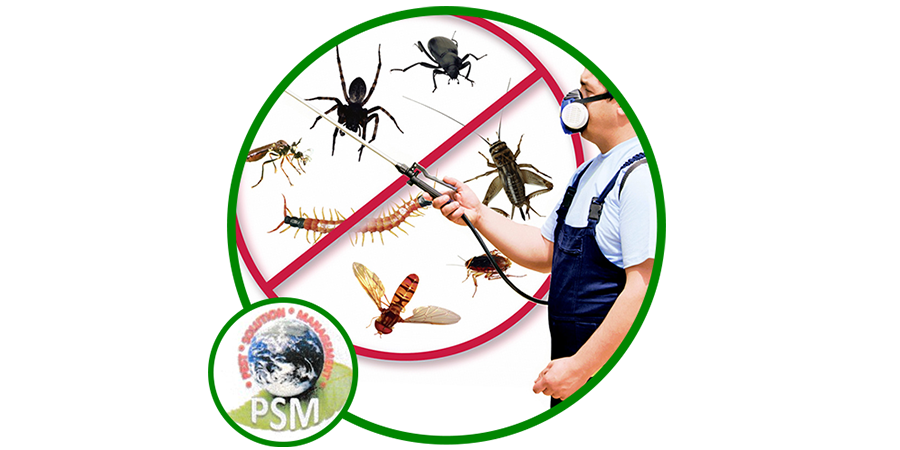 Pest Solution Management About